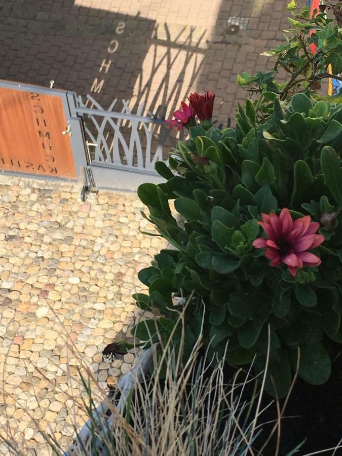 Schmuckkaestle Am Hafen Apartman Wiesbaden Kültér fotó